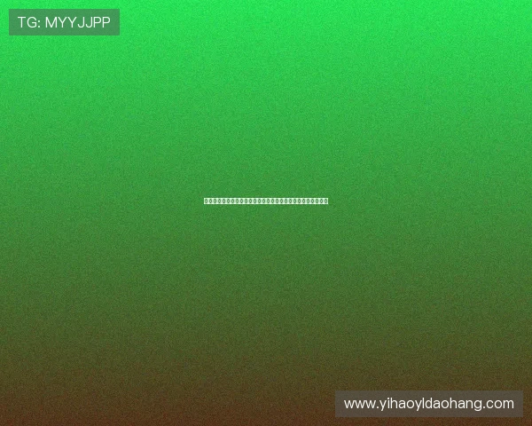 壹号国际官网：壹号国际官网的多语言支持与国际客户服务介绍